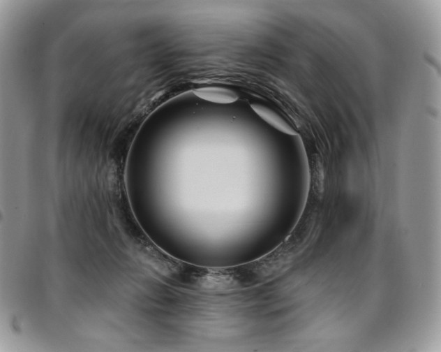 X0000095130270200712071315