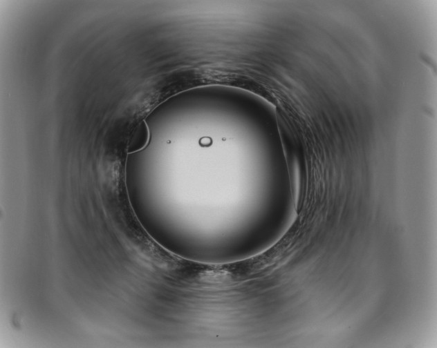 X0000095130271200712071315