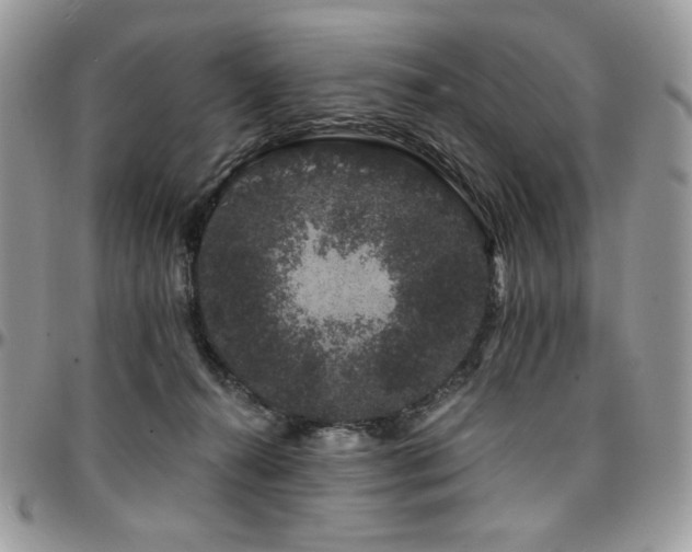 X0000095130272200712071315