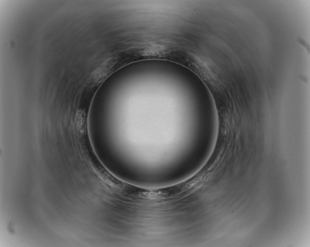 X0000095130273200712071315