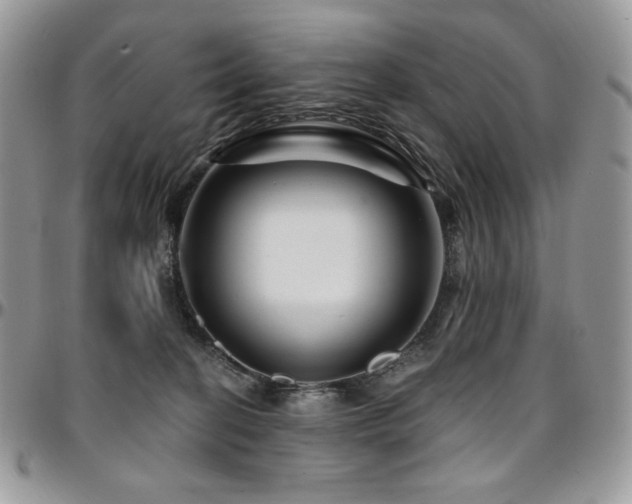 X0000095130274200712071315