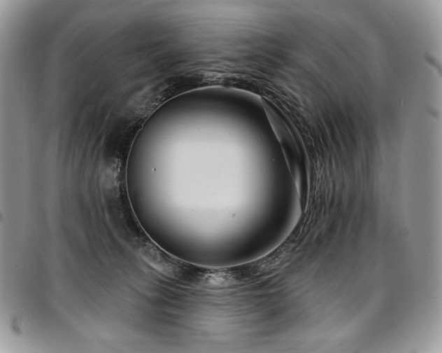 X0000095130275200712071315