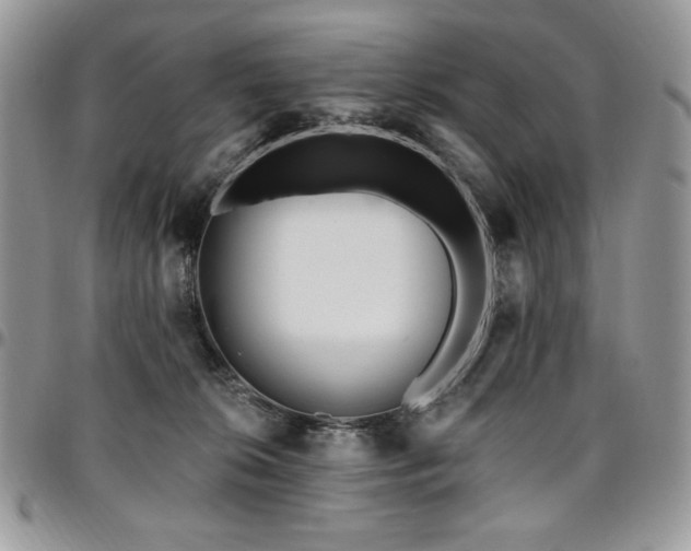 X0000095130276200712071315