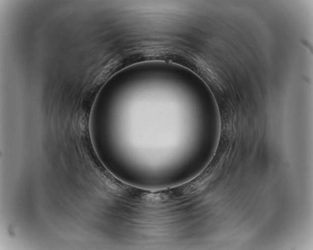 X0000095130277200712071315