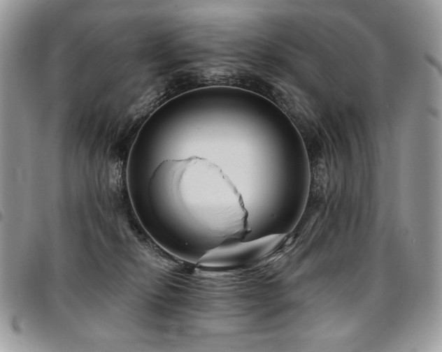 X0000095130278200712071315