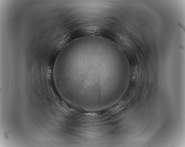 X0000095130279200712071315