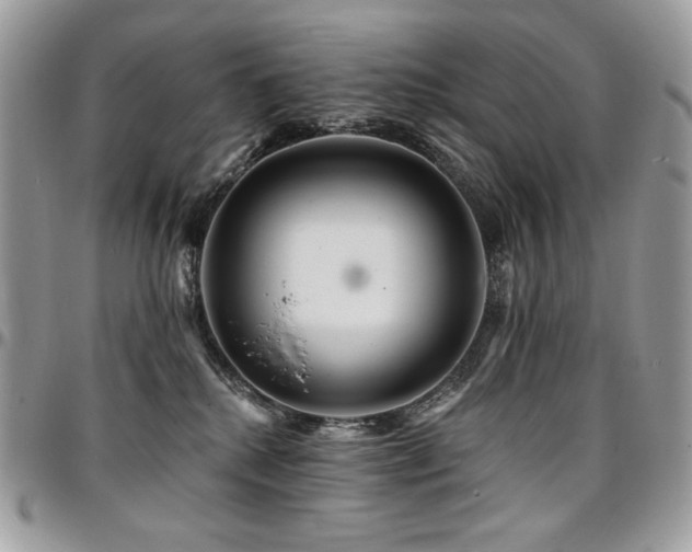 X0000095130280200712071315