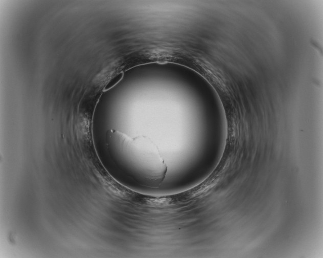 X0000095130281200712071315