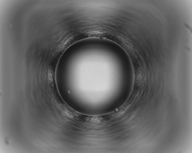 X0000095130282200712071315