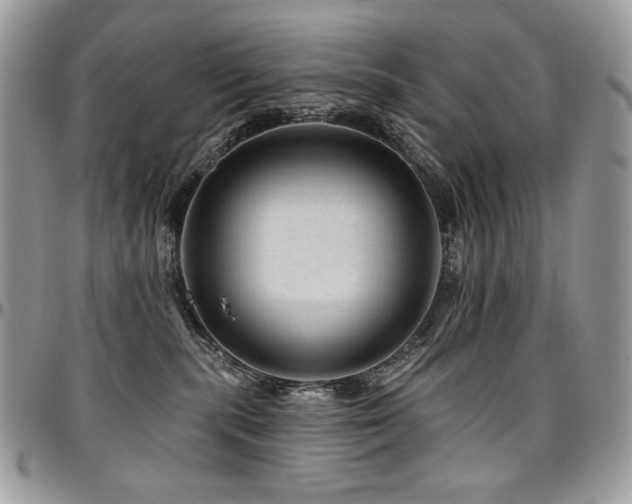 X0000095130283200712071315