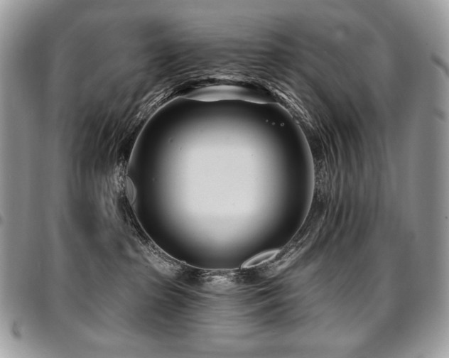 X0000095130285200712071315