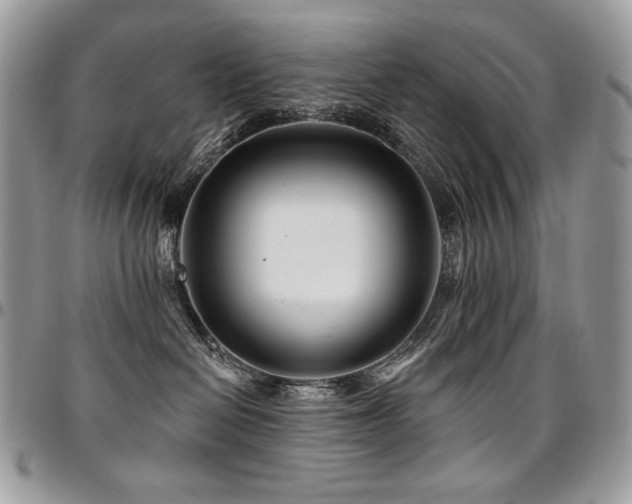 X0000095130286200712071315