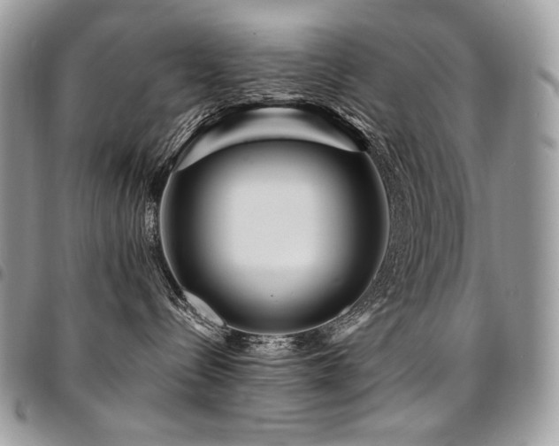 X0000095130288200712071315