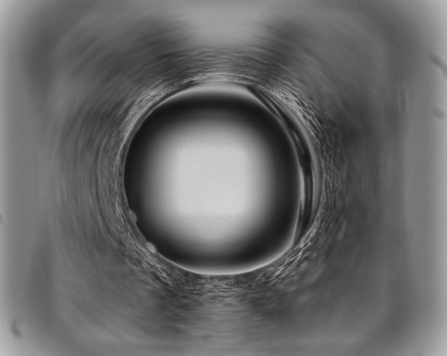 X0000095130289200712071314