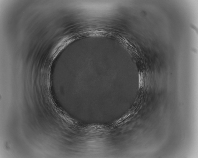 X0000095130291200712071314