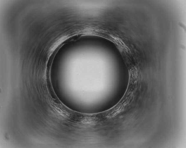 X0000095130292200712071314