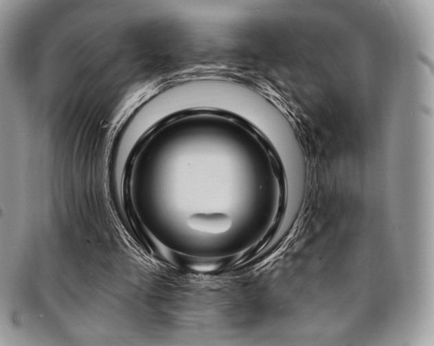 X0000095130293200712071314