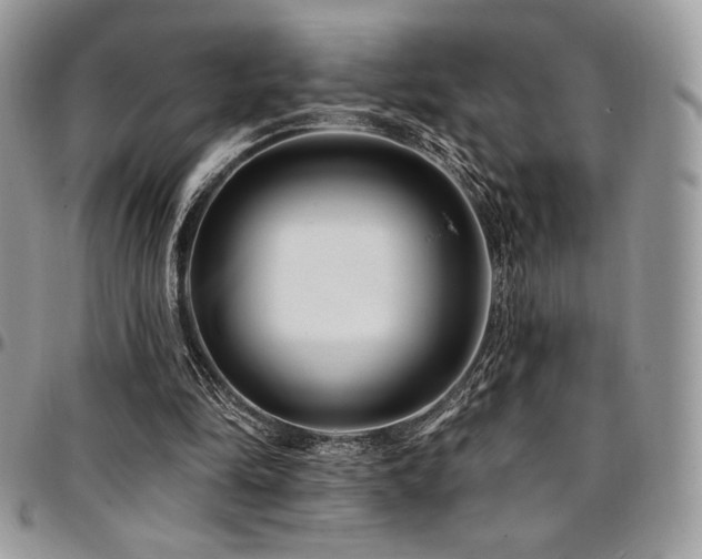 X0000095130294200712071314