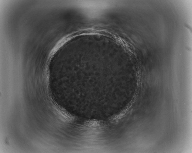 X0000095130295200712071314