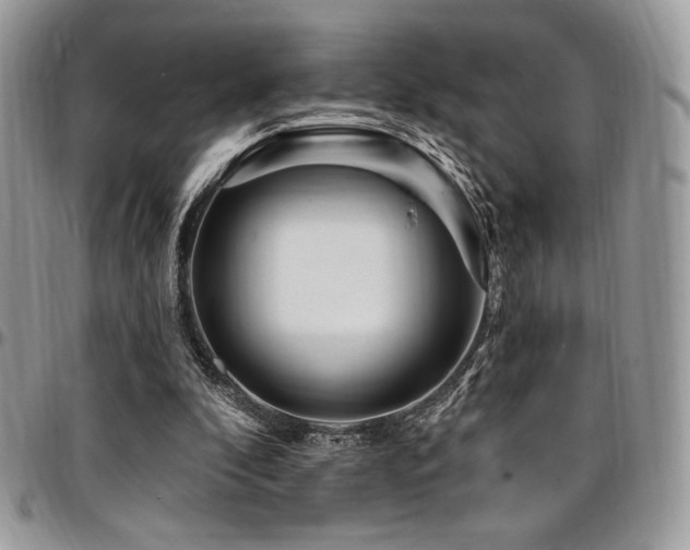 X0000095130296200712071314