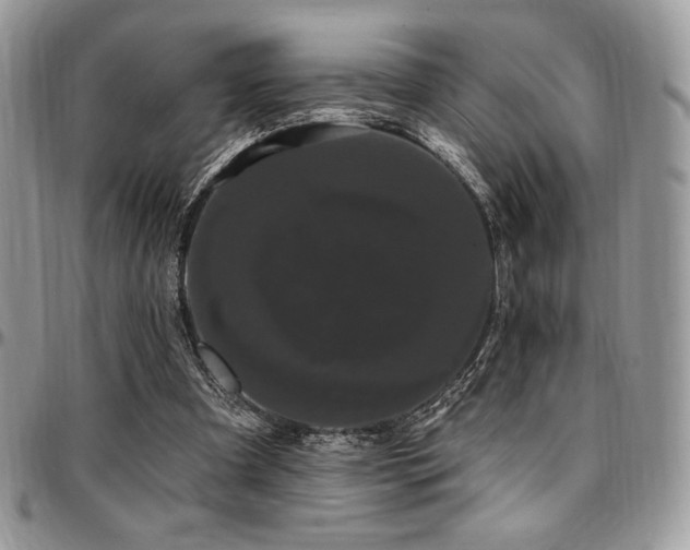 X0000095130297200712071314