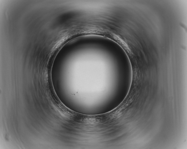 X0000095130298200712071314