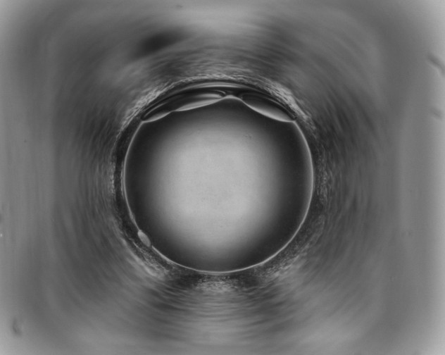 X0000095130299200712071314