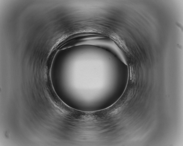 X0000095130300200712071314