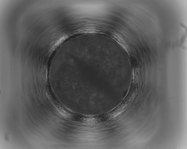 X0000095130301200712071314