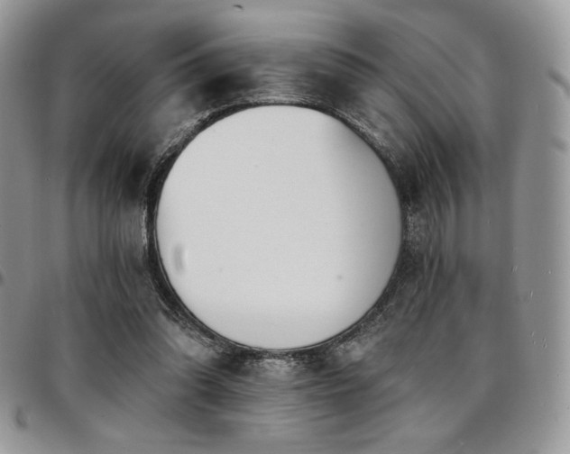 X0000095130302200712071314