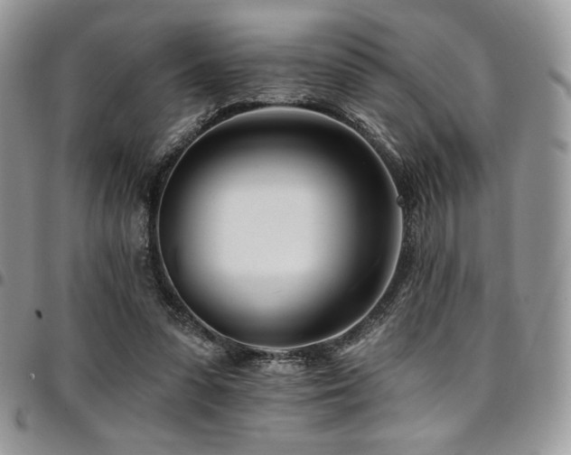 X0000095130303200712071314