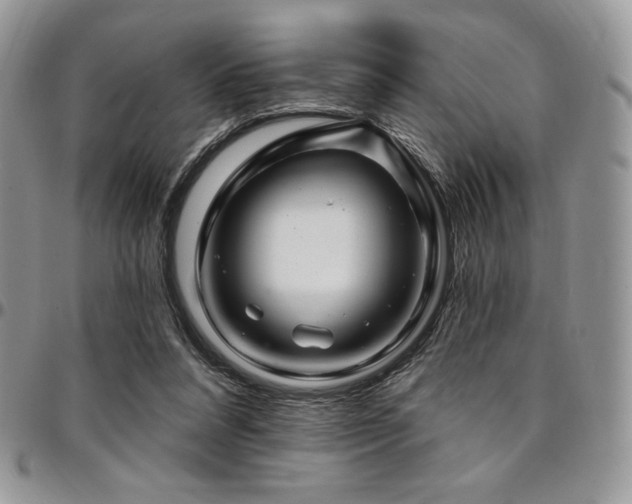 X0000095130304200712071314