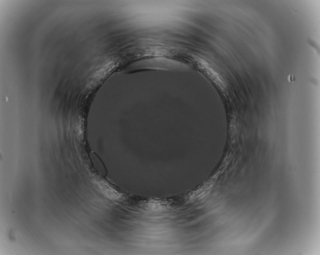 X0000095130305200712071314