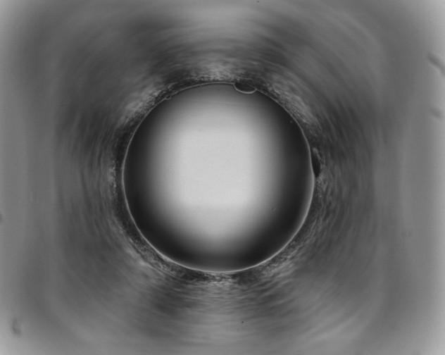 X0000095130306200712071314