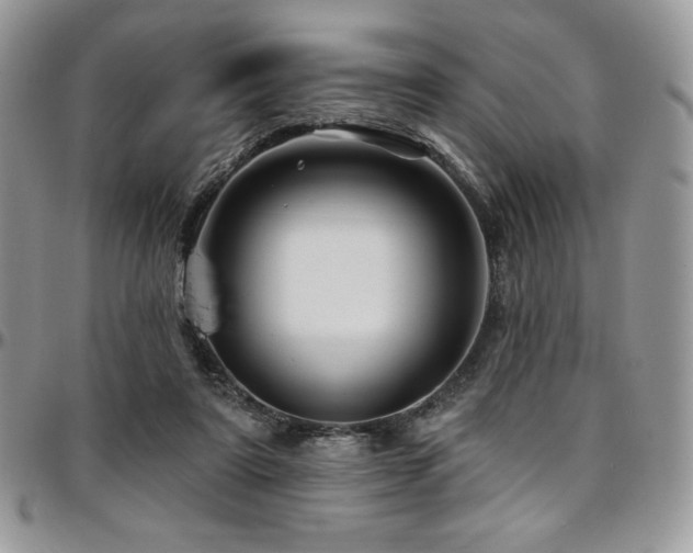 X0000095130307200712071314