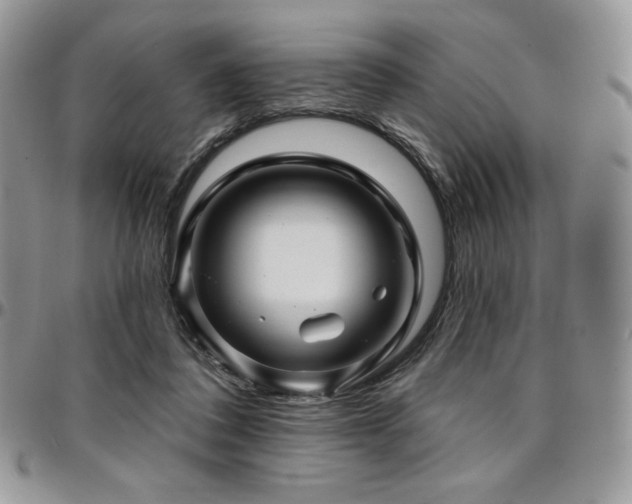 X0000095130308200712071314