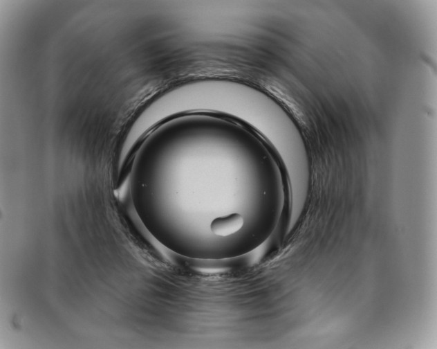 X0000095130309200712071314