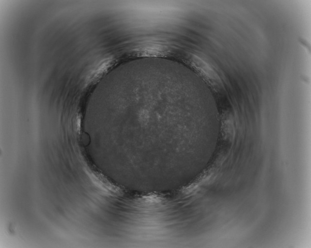 X0000095130310200712071314