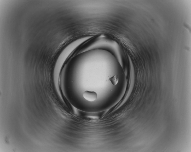 X0000095130312200712071314