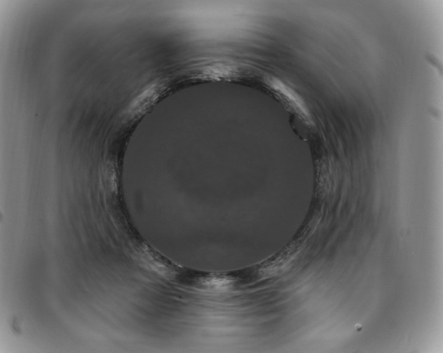 X0000095130313200712071314