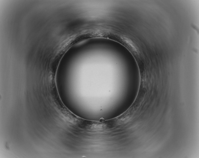 X0000095130314200712071314