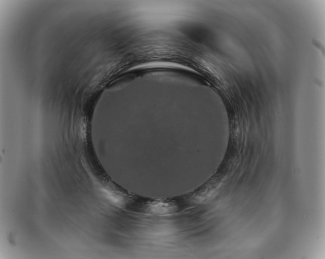 X0000095130315200712071314