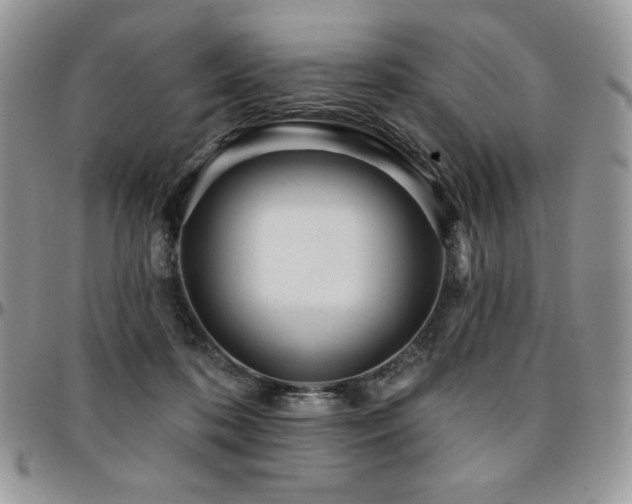 X0000095130316200712071314