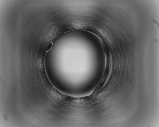 X0000095130317200712071314