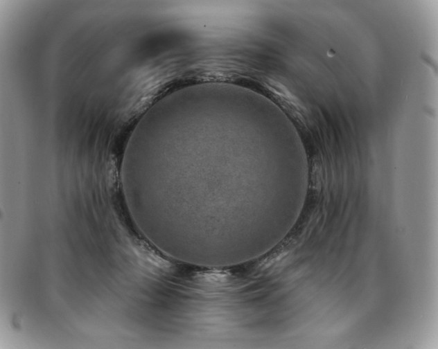 X0000095130318200712071314