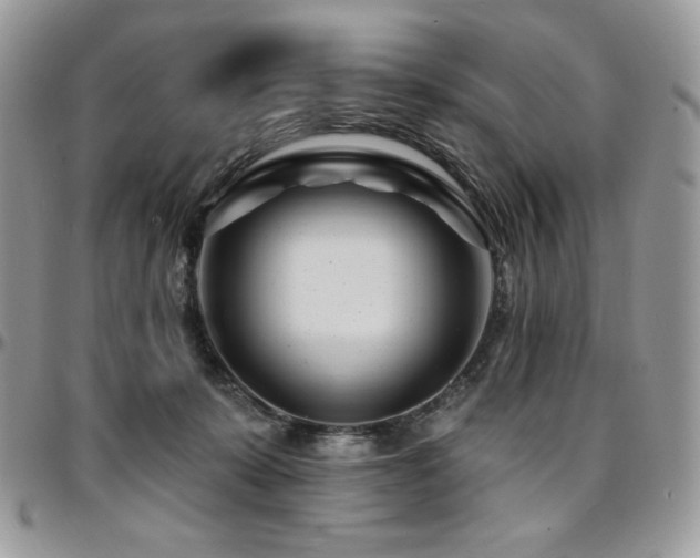 X0000095130319200712071314