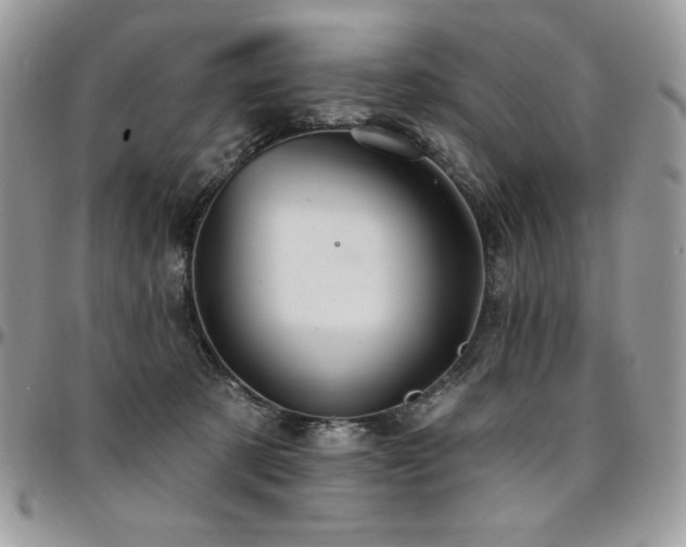 X0000095130321200712071314