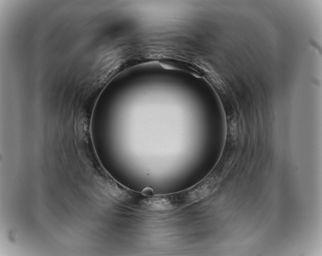 X0000095130322200712071314