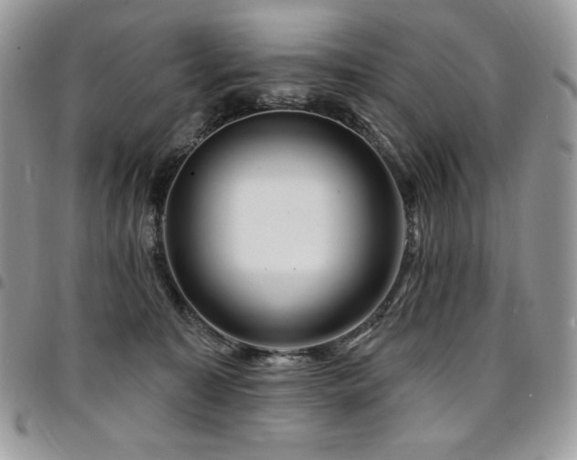 X0000095130323200712071314