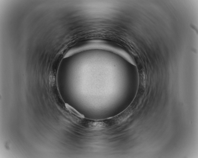 X0000095130324200712071314